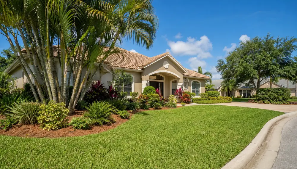 culdesac pine straw palms