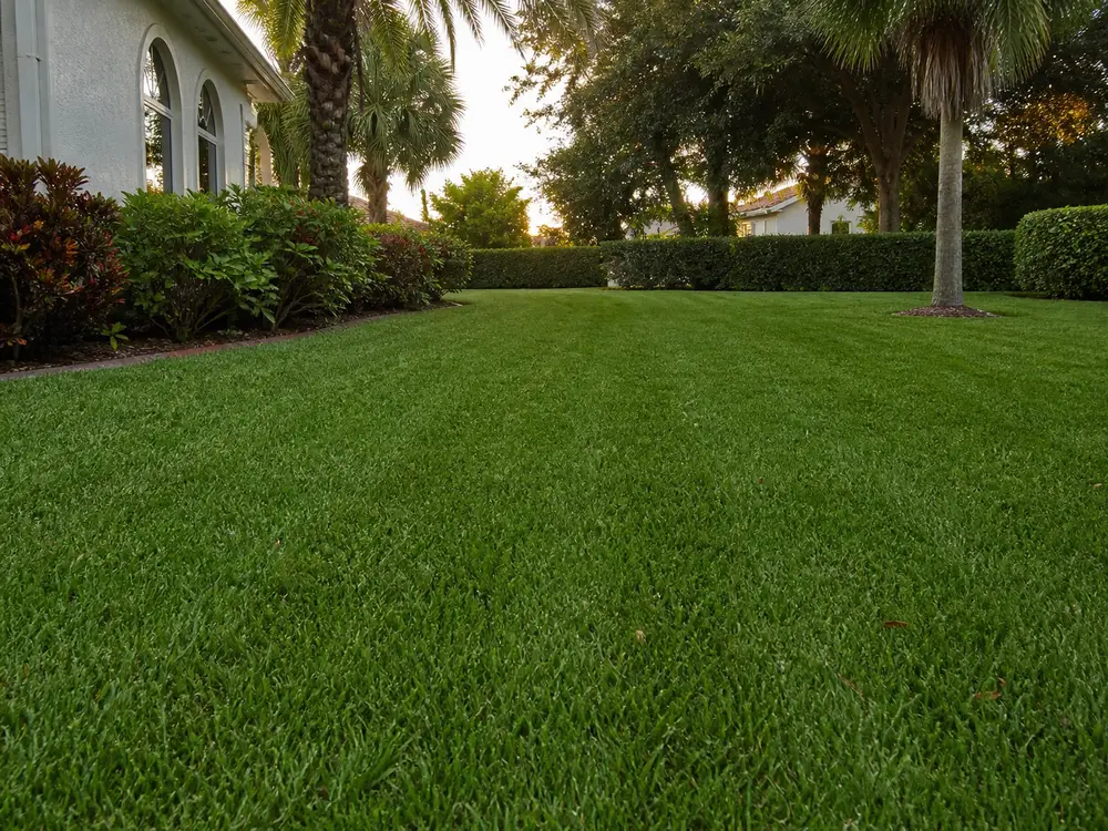 Lawn Care in Ocala, Florida